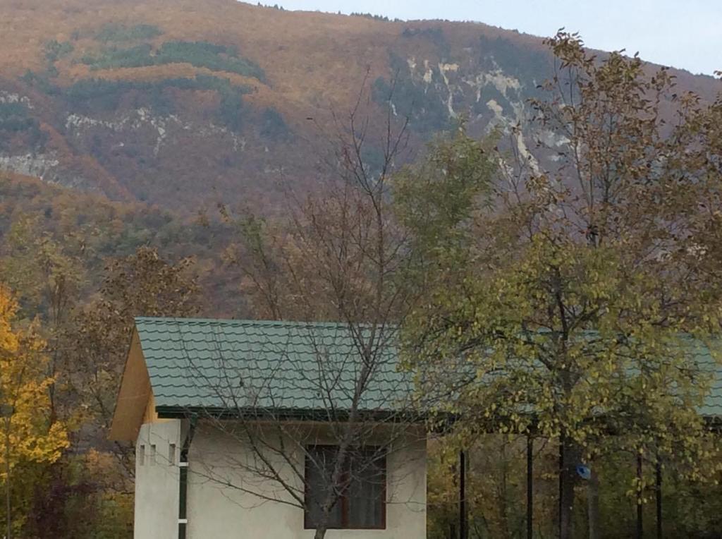 Taripiri Villa Ambrolauri Exteriör bild